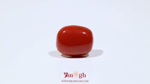 Red Coral - 8.45 Carat
