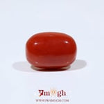 Red Coral - 11.6 Carat