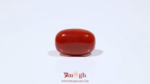 Red Coral - 7.5 Carat