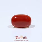 Red Coral - 7.5 Carat