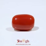 Red Coral - 10.15 Carat