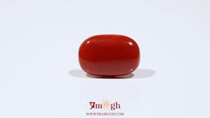 Red Coral - 8 Carat