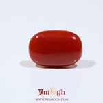Red Coral - 8 Carat