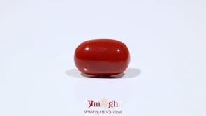Red Coral - 7.75 Carat