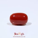 Red Coral - 7.75 Carat