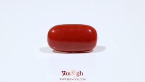Red Coral - 10.2 Carat