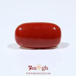 Red Coral - 10.2 Carat