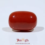Red Coral - 19.7 Carat