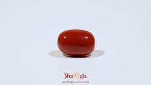 Red Coral - 7.55 Carat