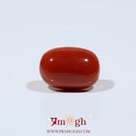 Red Coral - 7.55 Carat