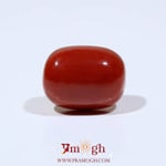 Red Coral - 14.15 Carat