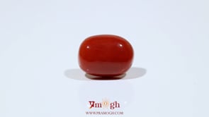Red Coral - 9.9 Carat