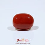 Red Coral - 9.9 Carat