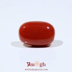 Red Coral - 10.55 Carat