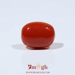 Red Coral - 8.1 Carat