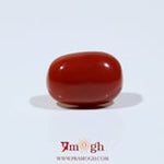 Red Coral - 9.1 Carat