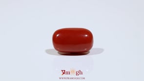 Red Coral - 8.55 Carat
