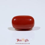 Red Coral - 8.55 Carat