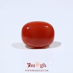 Red Coral - 8.25 Carat