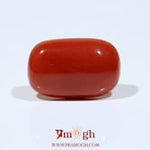 Red Coral - 14.7 Carat
