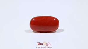 Red Coral - 8.9 Carat