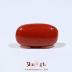 Red Coral - 8.9 Carat