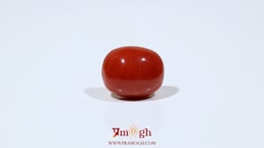 Red Coral - 8.6 Carat