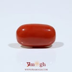 Red Coral - 9.15 Carat