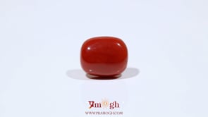 Red Coral - 7.95 Carat