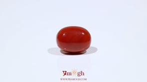 Red Coral - 9.05 Carat