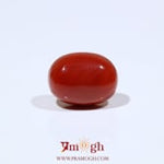 Red Coral - 9.05 Carat
