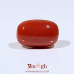 Red Coral - 13.75 Carat