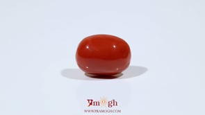 Red Coral - 10.65 Carat
