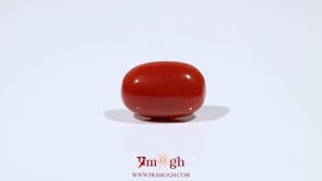 Red Coral - 6.9 Carat