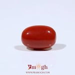 Red Coral - 6.9 Carat