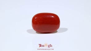 Red Coral - 10.8 Carat