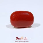 Red Coral - 10.8 Carat