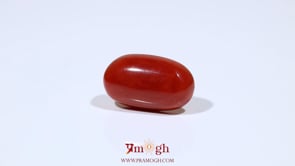 Red Coral - 10.7 Carat