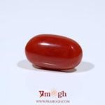 Red Coral - 10.7 Carat
