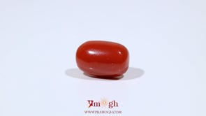 Red Coral - 9.55 Carat