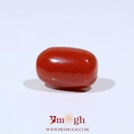 Red Coral - 9.55 Carat