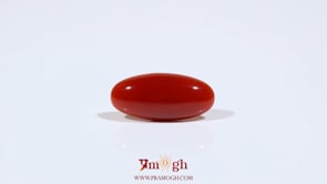 Japanese Red Coral - 5.55 Carat