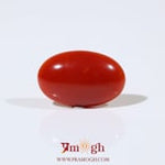 Japanese Red Coral - 5.6 Carat