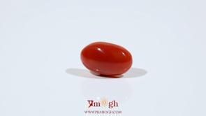 Japanese Red Coral - 6 Carat