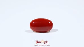Japanese Red Coral - 4.9 Carat