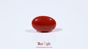 Japanese Red Coral - 6.1 Carat