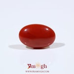 Japanese Red Coral - 6.1 Carat