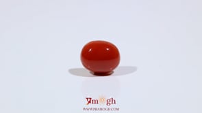 Japanese Red Coral - 4.75 Carat