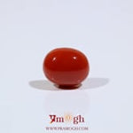 Japanese Red Coral - 4.75 Carat