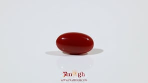 Japanese Red Coral - 5.25 Carat